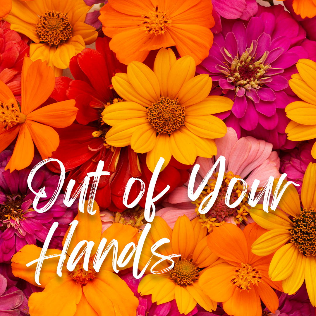 Out of Your Hands