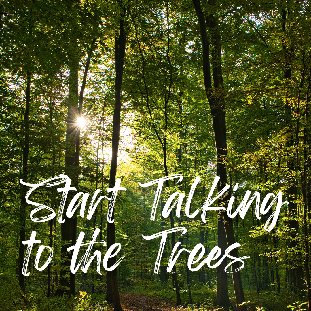 Start Talking to the Trees