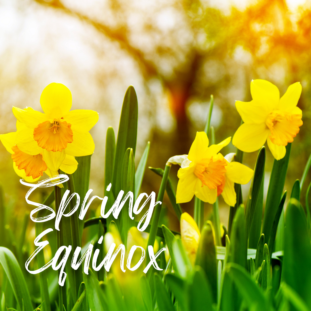 Spring Equinox